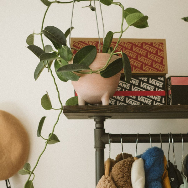 Clothes rail made from dark water pipes with wooden shelf mounted on top for extra storage